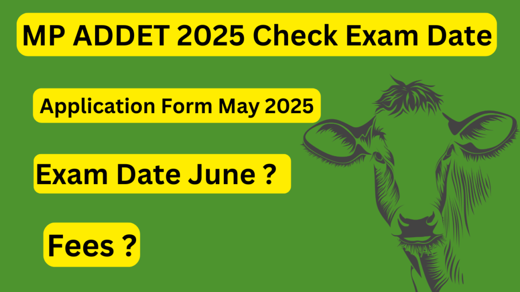 MP ADDET 2025
