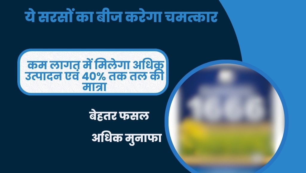 ये सरसों का बीज करेगा चमत्कार,