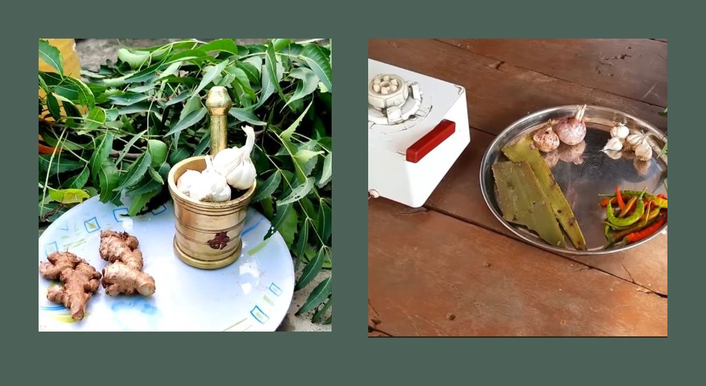 जैविक खेती