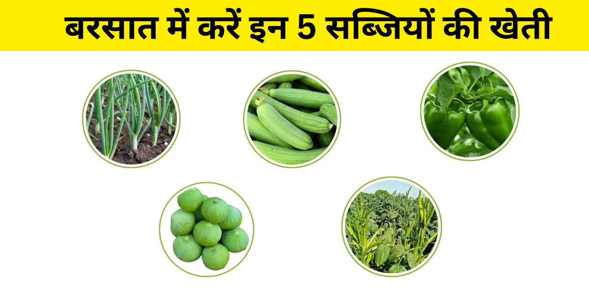 5 सब्जियों की खेती