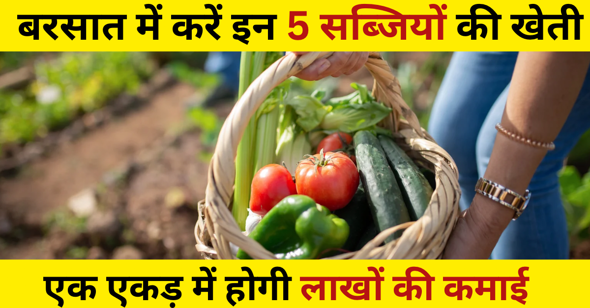सब्जियों की खेती