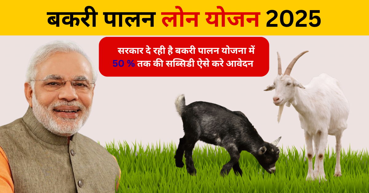 Bakri Palan Loan Yojana
