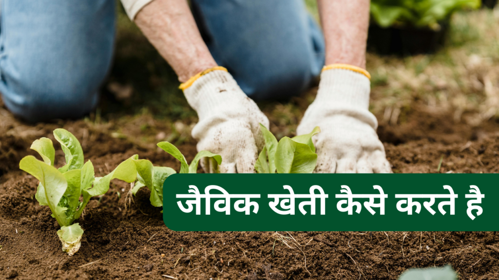 जैविक खेती कैसे करते है