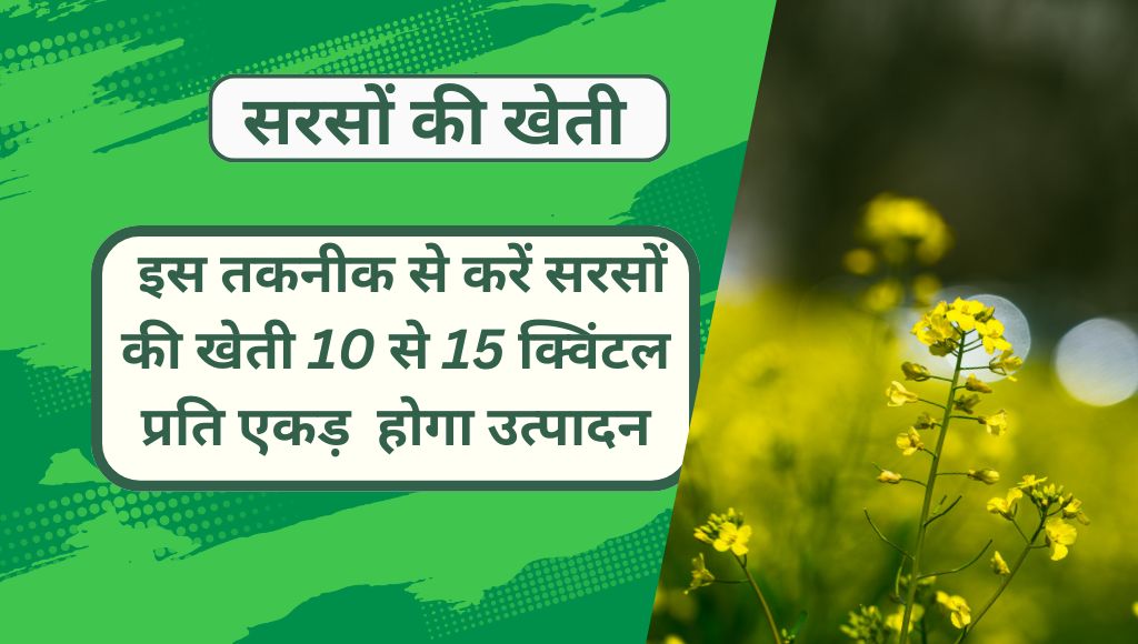 सरसों की खेती