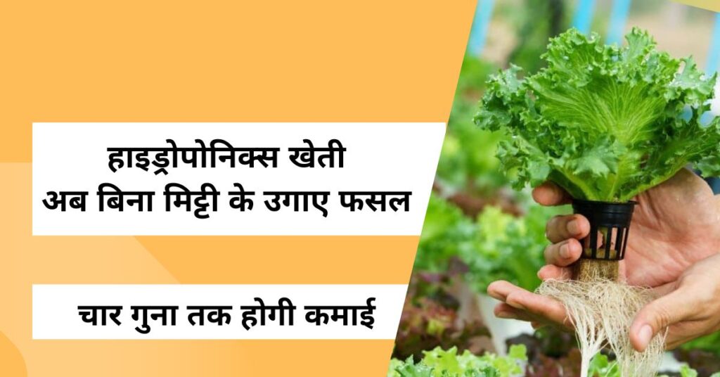 हाइड्रोपोनिक्स खेती