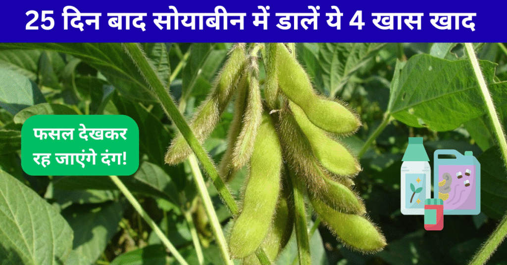 सोयाबीन में खाद