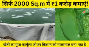 स्पिरुलिना की खेती