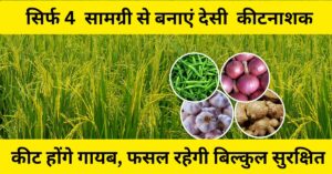 देसी कीटनाशक