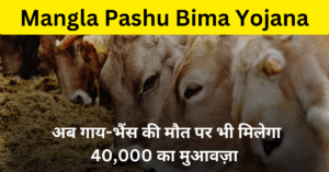 mangla pashu bima yojana