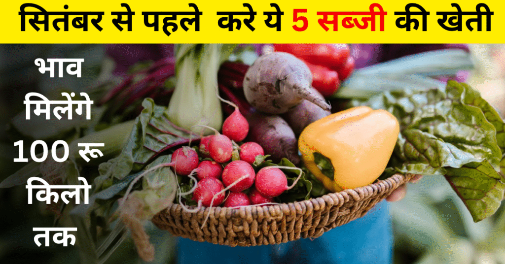 सब्जी की खेती