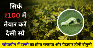 सोयाबीन में इल्ली