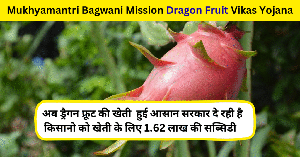 Mukhyamantri Bagwani Mission Dragon Fruit Vikas Yojana